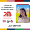 YES Abroad 20th Alumni Spotlight Series logo